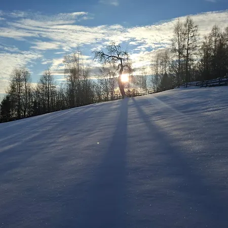 Dom wakacyjny Bacowka Pod Lipa Lipowa